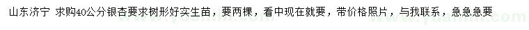 求購40公分銀杏