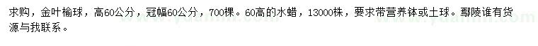 求購高60公分金葉榆球、水蠟