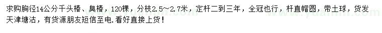 求購胸徑14公分千頭椿、臭椿