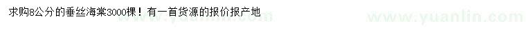求購(gòu)8公分垂絲海棠