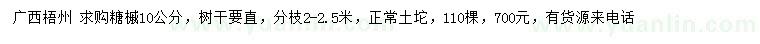 求購10公分糖槭