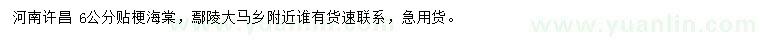 求購(gòu)6公分貼梗海棠