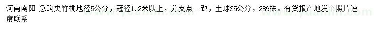 求購地徑5公分夾竹桃