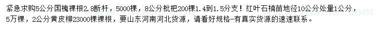 求購國槐、枇杷、紅葉石楠等