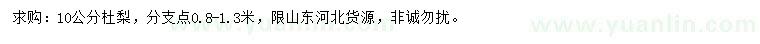 求購10公分杜梨