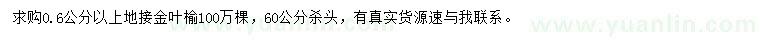 求購0.6公分以上地接金葉榆