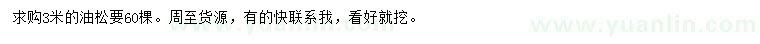 求購3米油松