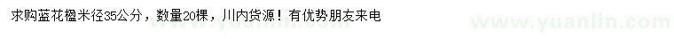 求購米徑35公分藍花楹