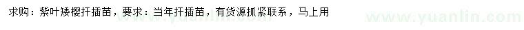 求購紫葉矮櫻扦插苗