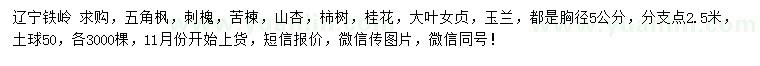 求購五角楓、刺槐、苦楝等