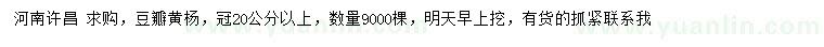 求購冠幅20公分以上豆瓣黃楊