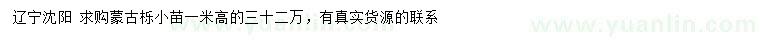 求購高1米蒙古櫟小苗