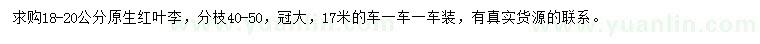 求購(gòu)18-20公分原生紅葉李