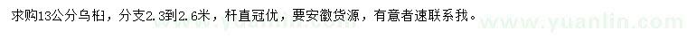 求購13公分烏桕