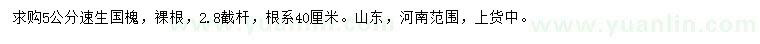 求購(gòu)5公分速生國(guó)槐
