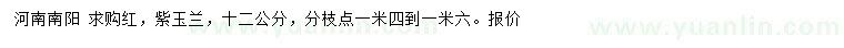 求購12公分紅、紫玉蘭