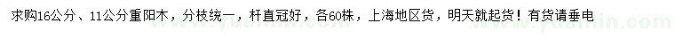 求購(gòu)16、11公分重陽(yáng)木