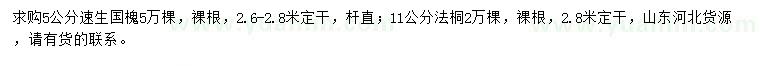 求購5公分速生國槐、11公分法桐