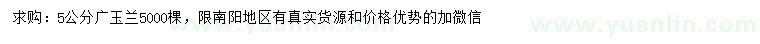 求購5公分廣玉蘭