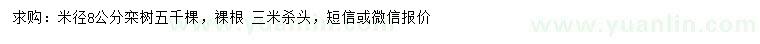 求購米徑8公分欒樹