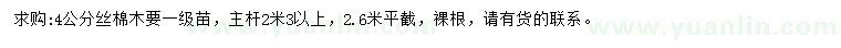 求購4公分絲棉木