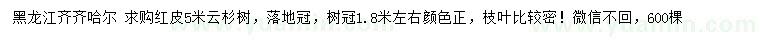 求購5米紅皮云杉樹
