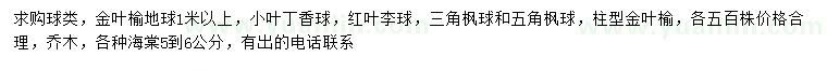 求購(gòu)金葉榆地球、小葉丁香球、紅葉李球等