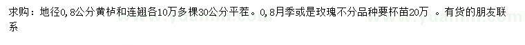 求購(gòu)黃櫨、連翹、月季等