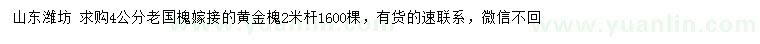 求購(gòu)4公分老國(guó)槐