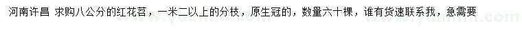 求購(gòu)8公分紅花苕