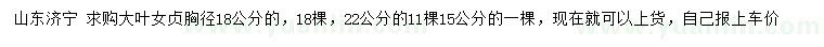求購胸徑15、18、22公分大葉女貞