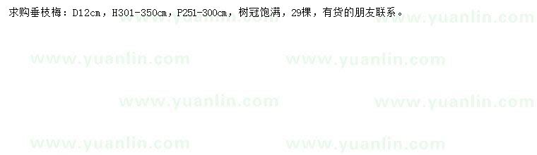 求購(gòu)地徑12公分垂枝梅