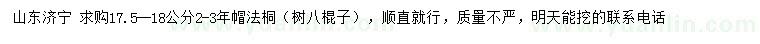 求購17.5-18公分法桐