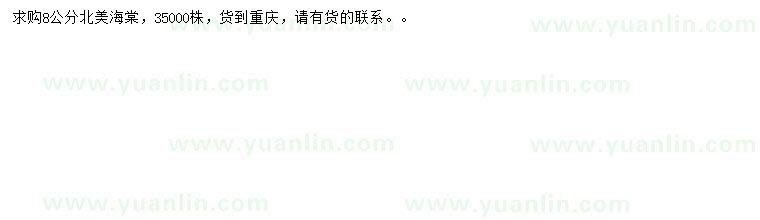 求購8公分北美海棠