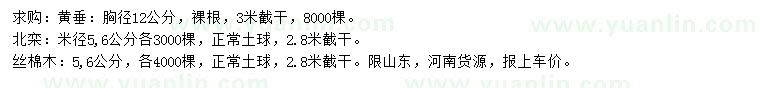 求購(gòu)黃垂、北欒、絲棉木