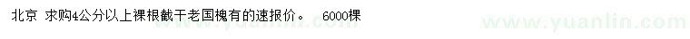 求購4公分以上老國槐