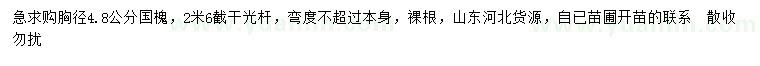 求購(gòu)胸徑4.8公分國(guó)槐