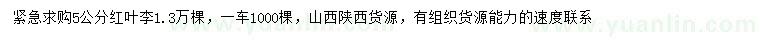 求購(gòu)5公分紅葉李