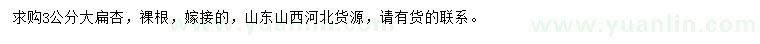 求購3公分大扁杏