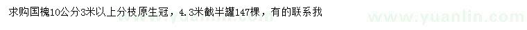 求購(gòu)10公分國(guó)槐