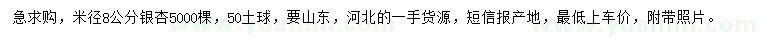 求購米徑8公分銀杏