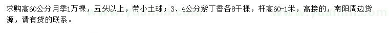 求購高60公分月季、3、4公分紫丁香