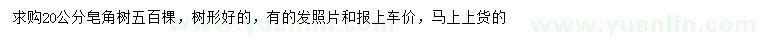 求購20公分皂角樹