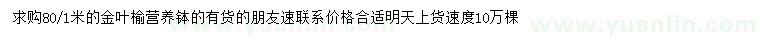 求購80、100公分金葉榆