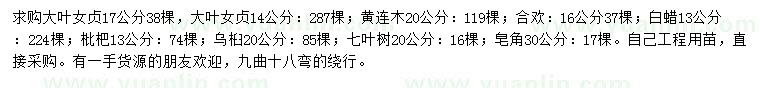 求購大葉女貞、黃連木、合歡等