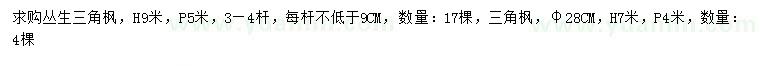 求購(gòu)高9米叢生三角楓、胸徑28公分三角楓