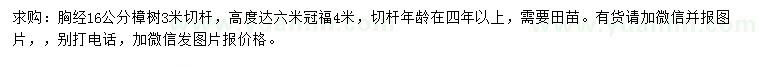 求購胸徑16公分樟樹微信發(fā)圖片報價格。