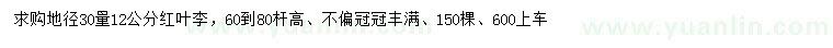 求購地徑30量12公分紅葉李