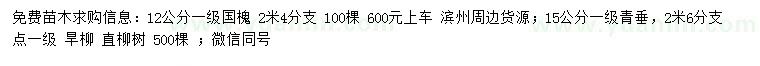 求購(gòu)12公分國(guó)槐、15公分青垂