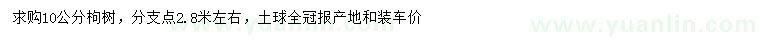 求購(gòu)10公分枸樹